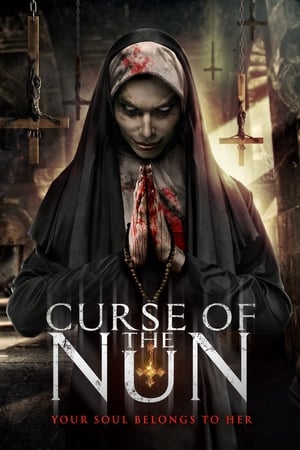 Curse of the Nun (2019) Hindi Dual Audio 720p BluRay [800MB] Movie Poster