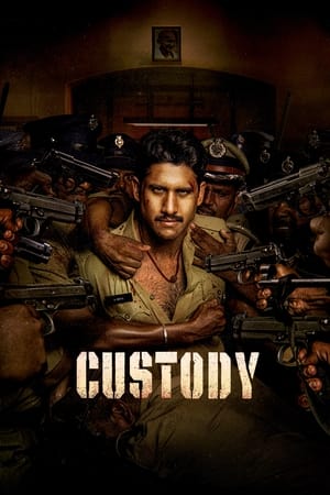 Custody 2023 Hindi (HQ-Dub) Dual Audio HDRip 720p – 480p Movie Poster