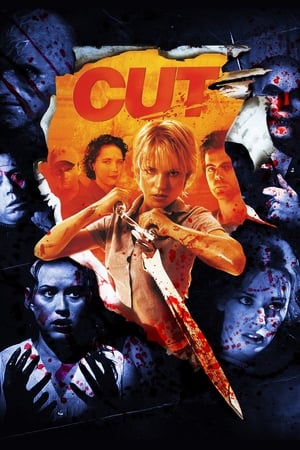 Cut (2000) Hindi Dual Audio 480p BluRay 300MB Movie Poster