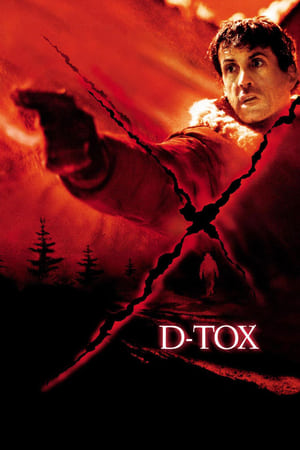 D-Tox Eye See You 2002 Hindi Dual Audio 720p BluRay [700MB] Movie Poster