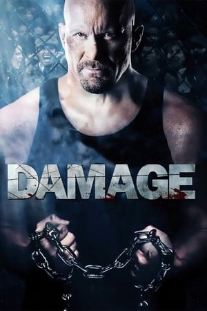 Damage 2009 Hindi Dual Audio 480p BluRay 330MB Movie Poster