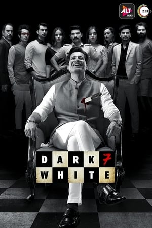 Dark 7 White 2020 Season 1 Hindi Web Series HDRip 720p | [COMPLETE] Movie Poster