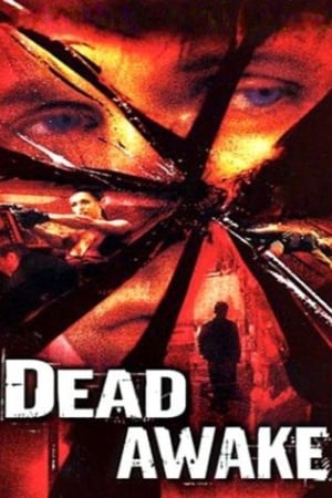 Dead Awake 2001 Hindi Dual Audio 720p WebRip [1GB] Movie Poster