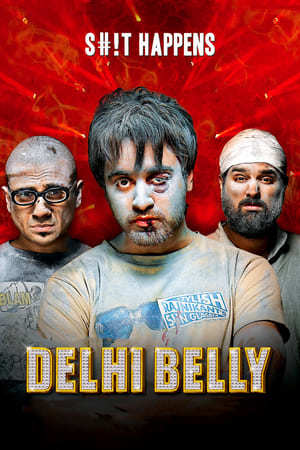 Delhi Belly 2011 Full Movie 480p DVDRip [300MB] Movie Poster