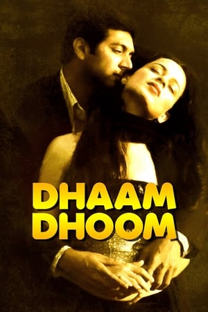 Dhaam Dhoom 2008 Dual Audio [Hindi - Tamil] 720p UnCut HDRip [1.3GB] Movie Poster