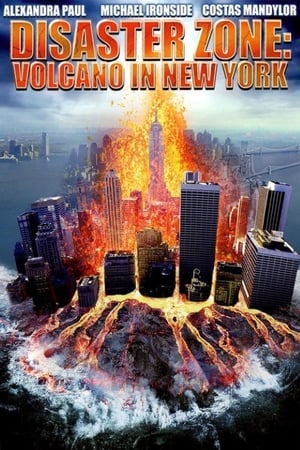 Disaster Zone Volcano in New York 2006 Hindi Dual Audio 720p HDRip [860MB] Movie Poster