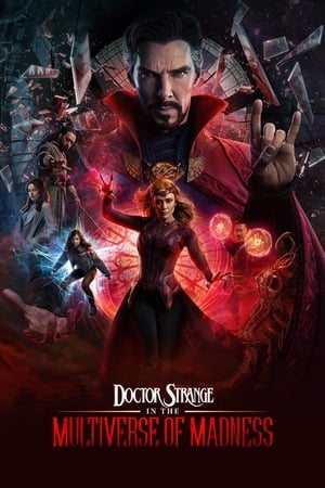 Doctor Strange in the Multiverse of Madness (2022) Hindi (ORG) Dual Audio Web-DL 720p -480p Movie Poster