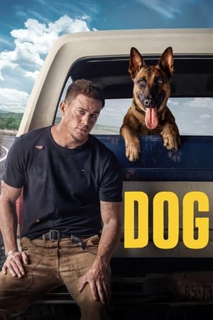 Dog (2022) Hindi Dual Audio HDRip 720p – 480p Movie Poster