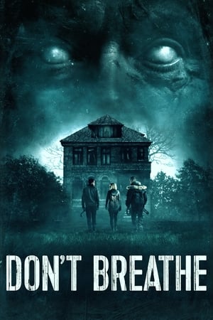 Don't Breathe (2016) Hindi Dual Audio 480p BluRay 300MB Movie Poster