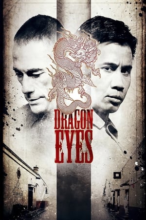 Dragon Eyes (2012) Hindi Dual Audio HDRip 720p – 480p Movie Poster