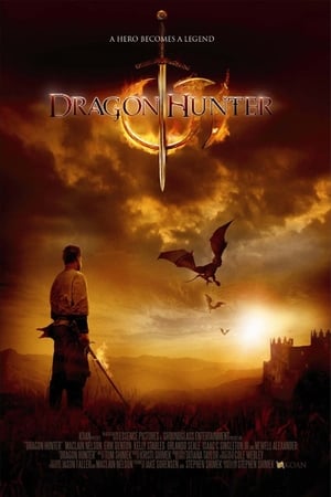 Dragon Hunter (2009) Hindi Dual Audio 720p BluRay [1GB] Movie Poster