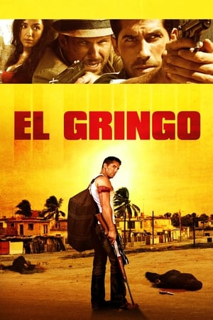 El Gringo (2012) Hindi Dual Audio 720p HDRip [900MB] Movie Poster