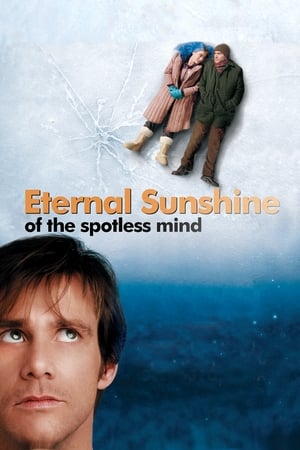 Eternal Sunshine Of The Spotless Mind 2004 Hindi Dual Audio 480p BluRay 300MB Movie Poster