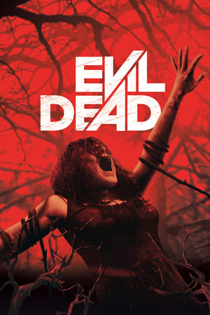 Evil Dead 2013 Hindi Dual Audio 480p BluRay 300MB Movie Poster