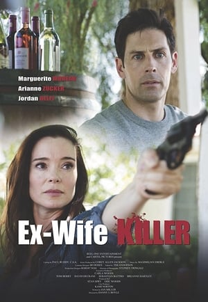 Ex-Wife Killer (2017) Hindi Dual Audio 720p WebRip [930MB] Movie Poster