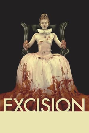 Excision 2012 Hindi Dual Audio 480p BluRay 270MB Movie Poster