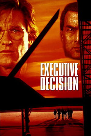 Executive Decision (1996) Hindi Dual Audio 720p BluRay [1GB] Movie Poster