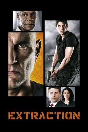 Extraction 2013 Hindi Dual Audio 480p WebRip 330MB Movie Poster