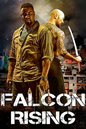 Falcon Rising (2014) Hindi Dual Audio 480p BluRay 300MB Movie Poster