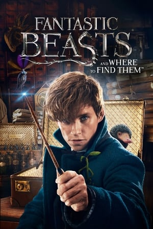 Fantastic Beasts and Where to Find Them 2016 Dual Audio (Hindi) 480p Bluray [300MB] Movie Poster