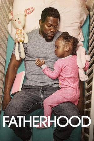 Fatherhood (2021) Hindi Dual Audio 480p WebRip 350MB Movie Poster