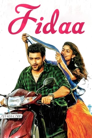 Fidaa 2017 [Hindi - Telugu] Dual Audio 720p Uncut HDRip [1.2GB] Movie Poster