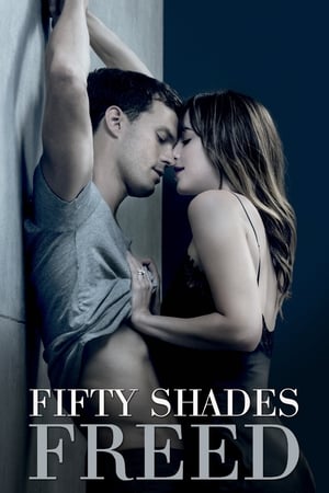 Fifty Shades Freed (2018) Hindi Dual Audio 720p BluRay [1GB] Movie Poster