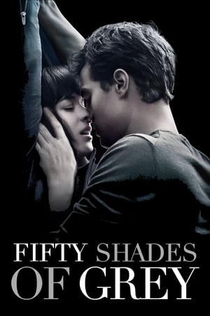 Fifty Shades of Grey 2015 Hindi Dual Audio 480p BluRay 400MB Movie Poster