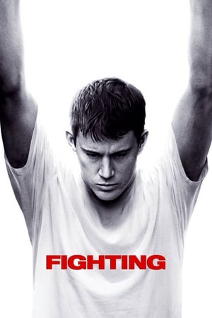 Fighting (2009) Hindi Dual Audio 480p BluRay 450MB Movie Poster