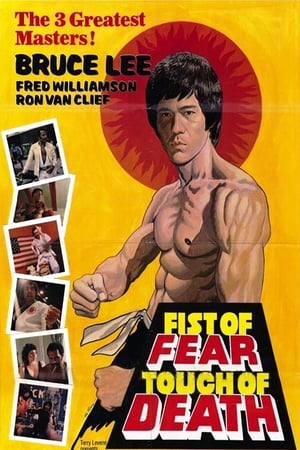 Fist of Fear Touch of Death 1980 Hindi Dual Audio 720p DVDRip [1GB] Movie Poster