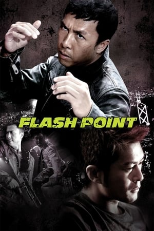 Flash Point (2007) Hindi Dual Audio 720p BluRay [1GB] Movie Poster