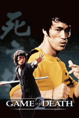 Game of Death II (1981) Dual Audio Hindi Movie 720p BluRay - 1.1GB Movie Poster