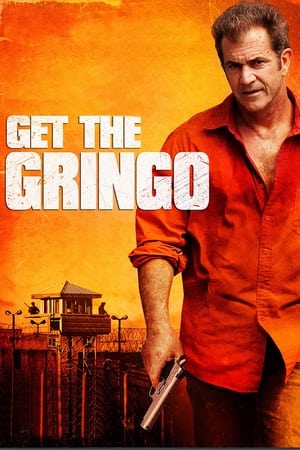 Get the Gringo (2012) Hindi Dual Audio 480p BluRay 300MB Movie Poster