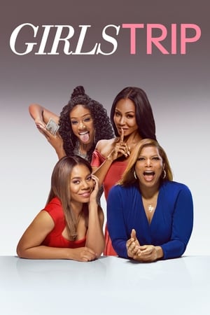 Girls Trip (2017) Hindi Dual Audio 720p BluRay [1GB] Movie Poster