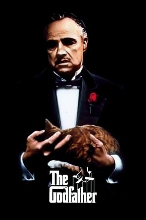 Godfather 2022 Hindi Movie DVDScr 720p – 480p Movie Poster