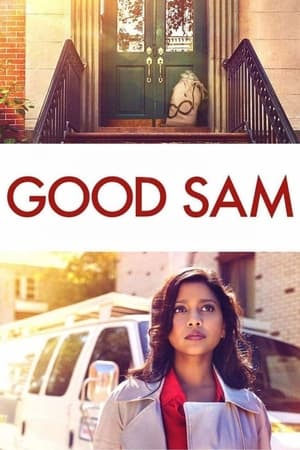 Good Sam 2019 Hindi Dual Audio 720p Web-DL [820MB] Movie Poster