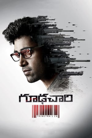 Goodachari (2018) (Hindi - Telugu) Dual Audio 480p UnCut HDRip 450MB Movie Poster