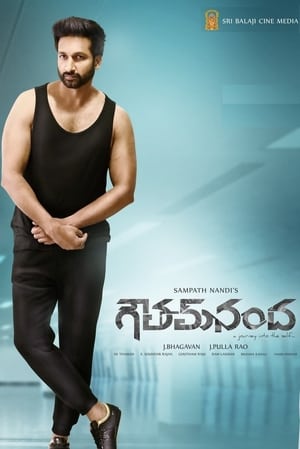 Goutham Nanda (2017) (Hindi – Telugu) Dual Audio UnCut HDRip 720p – 480p Movie Poster