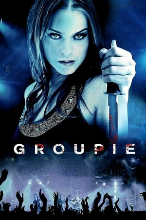 Groupie (2010) Hindi Dual Audio 480p BluRay 300MB Movie Poster