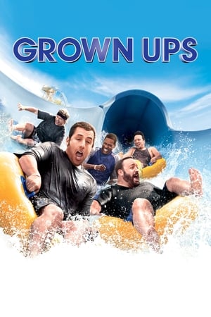 Grown Ups (2010) Hindi Dual Audio 720p BluRay [800MB] Movie Poster