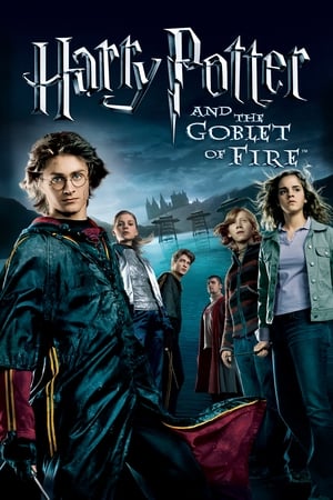 Harry Potter and the Goblet of Fire (2005) 100MB Dual Audio [Hindi-Enlish] Movie Poster