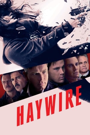 Haywire (2011) Hindi Dual Audio 720p BluRay [700MB] Movie Poster