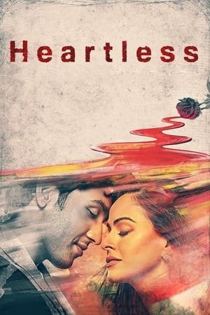 Heartless (2014) Hindi Movie 480p HDRip - [380MB] Movie Poster