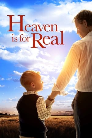 Heaven Is for Real (2014) Hindi Dual Audio 480p BluRay 300MB Movie Poster