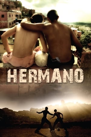 Hermano 2010 Hindi Dual Audio 720p BluRay [1.2GB] Movie Poster