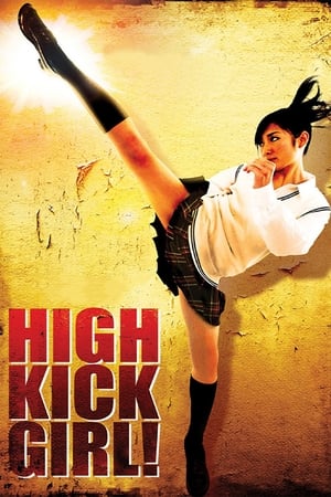 High Kick Girl (2009) 100mb Hindi Dual Audio movie Hevc BRRip Download Movie Poster