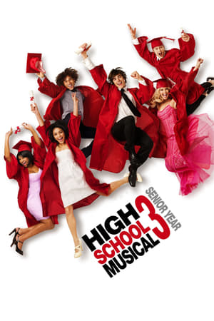 High School Musical 3 (2008) Hindi Dual Audio 480p BluRay 350MB Movie Poster