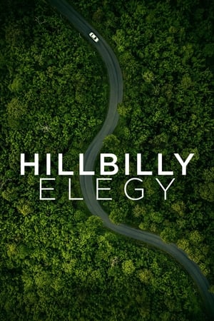 Hillbilly Elegy 2020 Hindi Dual Audio 480p WebRip 350MB Movie Poster