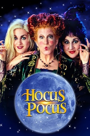 Hocus Pocus 1993 Hindi Dual Audio 720p BluRay [850MB] Movie Poster