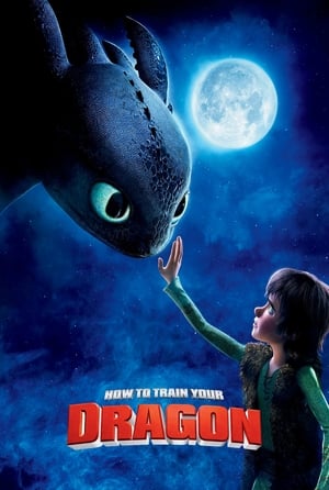 How to Train Your Dragon (2010) Hindi Dual Audio 720p BluRay [750MB] Movie Poster